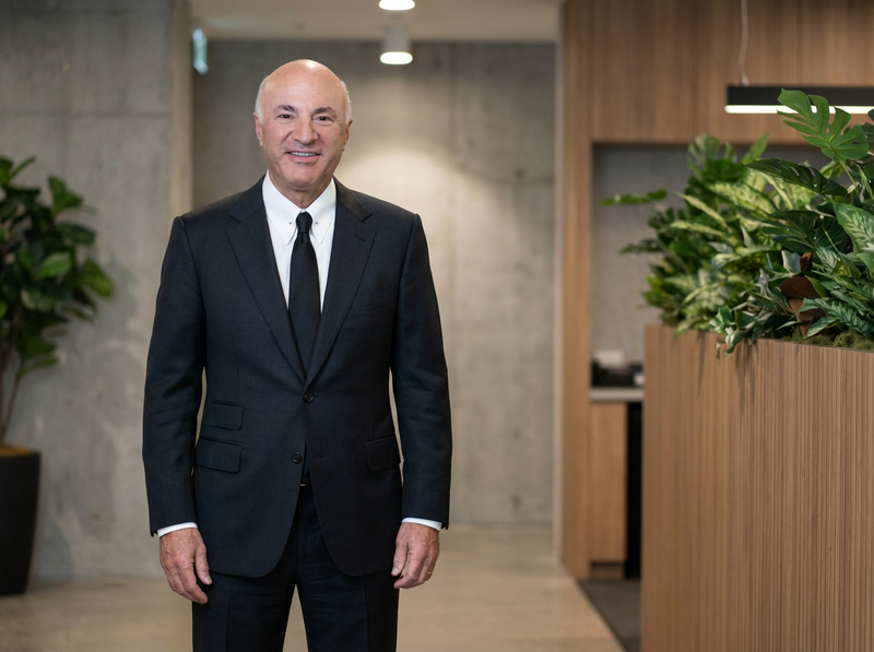 Modern Tailored Trousers